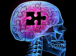 brainpuzzle